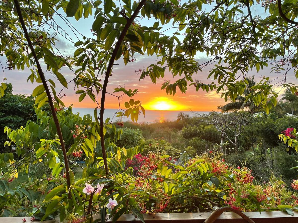 Villa Nature Caraibe Lodge, Vue Mer, Piscine Privee Деше Экстерьер фото