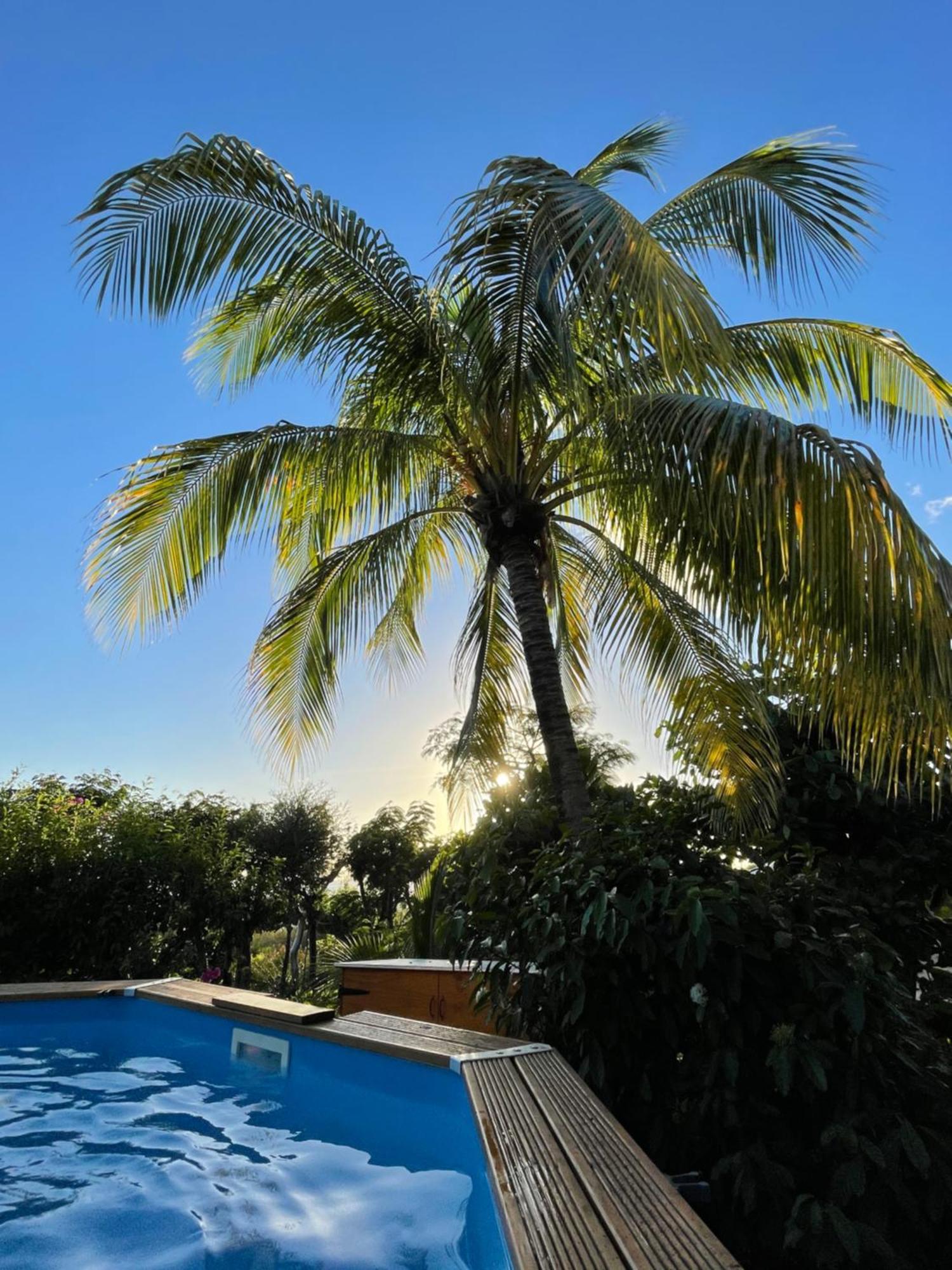 Villa Nature Caraibe Lodge, Vue Mer, Piscine Privee Деше Экстерьер фото